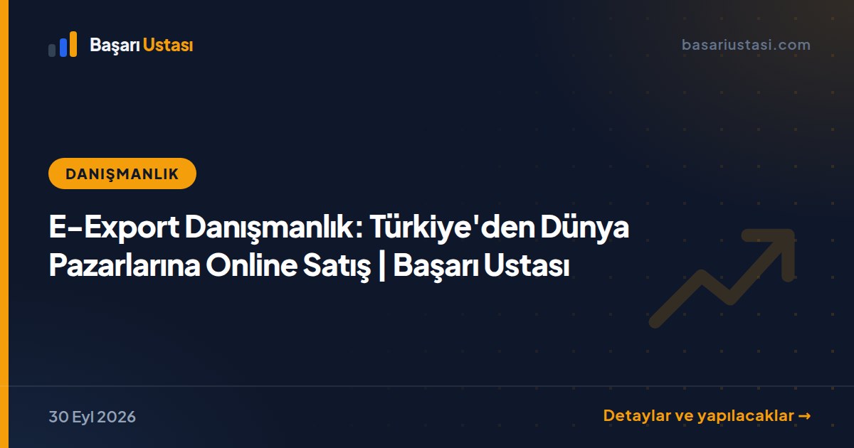 E-Export Danışmanlık: Türkiye'den Dünya Pazarlarına Online Satış | Başarı Ustası